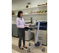 Ergotron Neo-Flex Laptop Cart Grigio Computer portatile Carrello/trolley multimediale [24-205-214]