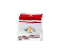 ERGOZYM PLUS 24STICK MONODOSE