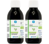 Ergy Desmodium 2x250 ml Sciroppo