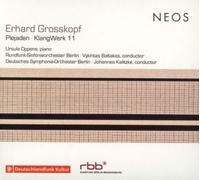 Erhard Grosskopf Erhard Grosskopf: Plejaden/KlangWerk 11 (CD) Album