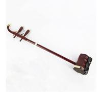 Erhu cinese 2 corde violino Amatori, amanti della cultura tradizionale cinese o parenti e amici