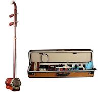 Erhu cinese 2 corde violino Con accessori e custodia Strumento musicale etnico intagliato a mano