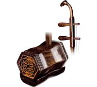 Erhu cinese 2 corde violino Erhu di qualità professionale fatto a mano con scatola di immagazzinaggio di alta qualità