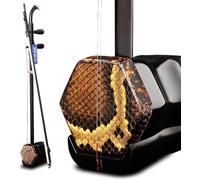 Erhu cinese 2 corde violino Strumenti musicali principianti pratica classificazione accessori universali