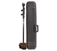 Erhu cinese, Strumento a corde tradizionale cinese Erhu professionale, autentico film orchestrale, con custodia e accessori