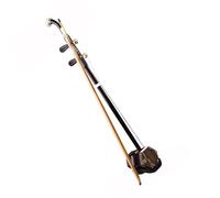 Erhu cinese, Strumento Erhu cinese in legno di ferro con asta esagonale in rame for principianti e professionisti, con custodia