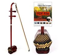 Erhu cinese, Violino cinese Erhu in palissandro viola a 2 corde con DVD didattico, ponte in tessuto di colofonia, custodia rigida