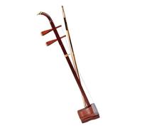 Erhu cinese Yuehu Erhu esagonale in palissandro tradizionale cinese con custodia e accessori