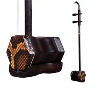 Erhu Strumenti Musicali Performance Professionale Erhu Tradizionale A 2 Corde