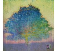 Eric Johnson EJ (CD) Album