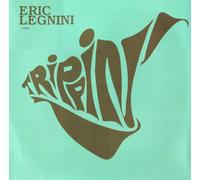 Eric Legnini Trio - Trippin - Moogoo Self Remix
