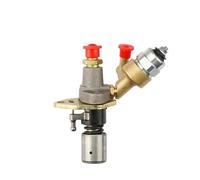 ERIHJOX Adatto for iniezione iniettore con 170F 178F 186F 186FA 188F 192F Carburante con elettromagnetico(170F)