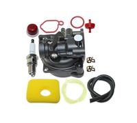 ERIHJOX Carburatore Adatto for 8P502, 9P602, 9P802, 300E, 450E, 500E, 550E, 575E, 600E, 625E, 799583 590556 591979 595656, 592361, 591160