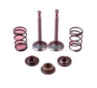 ERIHJOX Intake Exhaust Valve Retainer Spring STEM Seal Set Fit for GX160 GX200 5.5HP 6.5HP Lawn Mower Engine Motor Spare Part