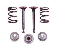 ERIHJOX Intake Exhaust Valve Spring Retainer STEM Seal Set Kit Fit for GX25 HHT25S GX 25 Trimmer Brush Cutter Engine Part