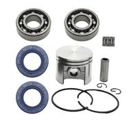 ERIHJOX Kit Cuscinetto a rulli for Albero Motore, Guarnizione dell'olio del pistone da 42,5 mm, Adatto for Pezzi di Ricambio for Motosega 025 Ms250 Ms 250