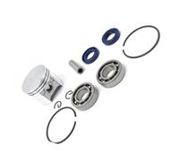 ERIHJOX Kit di Anelli for spinotto pistone da 42,5 mm, Cuscinetto ad Aghi, Guarnizione Olio, Set di Cuscinetti a Sfere for Albero Motore, Adatto for Parti di Motosega 025 MS250 MS 250(1 Set)