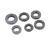 ERIHJOX Kit paraolio Albero Motore Tosaerba GX35 140 Adatto for Guarnizione Albero Spazzola a 2/4 Tempi Erba 40-5 44-5 CG430 TL52 TL43(139F)