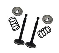 ERIHJOX Set di ritegni a Molla Adatto for decespugliatore GX25 HHT25S GX 25, Parte del Motore di Piccole Dimensioni