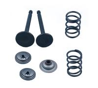 ERIHJOX Valve Spring Kit Fit for GX35 GX35NT HHT35S Trimmer Brush Cutter Metal Exhaust Valve Retainer Outdoor Power Equipment
