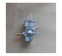 ERIHJOX VALVOLA G100 Adatta for GK100 G150 G200K1 GK200 G300 G400 E4500 ED1000 EG1000 ES4500 F500 Maschio Femmina M14(Twin Nozzle Style)