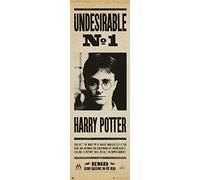 Erik Undesirable Harry Potter Poster per porta n. 1 158x53 cm
