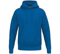 Erima Felpa con Cappuccio Unisex TS (2072575) New Royal, 3XL