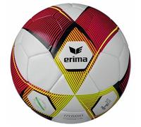 Erima Hybrid Training 2.0
