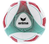 Erima Palline da allenamento ibri