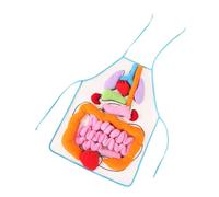 ERINGOGO 1 Set Di Giocattoli Cognitivi Sulla Struttura Del Corpo Grembiule Per La Consapevolezza Degli Organi Del Corpo Umano Grembiule Per L'Anatomia Delle Parti Del Corpo