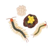 ERINGOGO 1set Giocattolo Educativo Ciclo Di Vita Dello Scolopendra Realistico Per Apprendimento Naturale e Cognitivo Gioco Immaginativo Per Varianti Inclusa