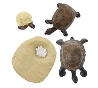 ERINGOGO 1set Modelli Del Ciclo Di Crescita Della Giocattolo Educativo Simulato Per Apprendimento Naturale e Cognitivo Modelli Di Evoluzione Animale Per Adornamenti Realistici