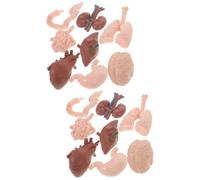 ERINGOGO 2 Set Modello Di Organo Umano Puntello Di Organo Umano Organi Umani Anatomia Umana Classe Simulazione Organo Umano Strumenti Di Studio Di Anatomia E Fisiologia Plastica 8 Pezzi * 2