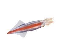 ERINGOGO Animali Marini Squid per Giocattoli Educativi Cognitivi Sicura per Apprendimento e Figurine Realistiche per Favorire Creatività e Conoscenza Animali Marini