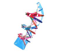 ERINGOGO Kit Dna Doppia per Didattica Biologia Materiale DIY per Studenti Medie e Superiori Educativo e Interattivo