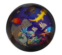 ERINGOGO Ocean Sound Drum Con Strumento Percussione e Scuola Per Compleanno e Relax Tranquilli