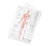 ERINGOGO Poster Anatomia Corpo Umano in Silk Quadro Educativo Muscoli e Scheletro per Scuola e Laboratorio Illustrazione Chiara e Duratura per Apprendimento Scientifico