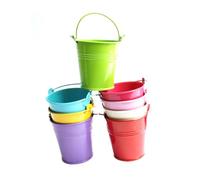 ERINGOGO Secchiello Mini in Latta 20 Pezzi, Vaso per Piante Manico | Davanzale e Stanza, Design Semplice e Chic, Sicuro da Usare, Si Può Collegare Insieme Colore Casuale