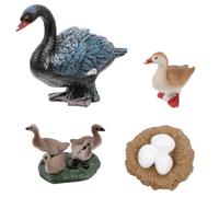 ERINGOGO Set 4 Pezzi Modelli Ciclo Crescita della Schiusa del Cigno Nero, Giocattolo Educativo per Bambini, Decorazione Resistente e Didattica per Casa e Scuola, Esperienze Naturali