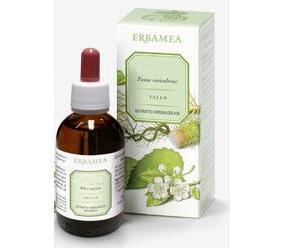 ERISIMO Sommita'Est.Ial.EBM