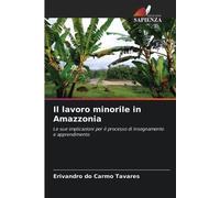 Erivandro Do Carmo Tavares Il lavoro minorile in Amazzonia (Tascabile)
