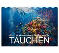 Erlebe mit mir verzaubernde Unterwasserwelten Tauchen (Wandkalender 2026 DIN A3 quer), CALVENDO Monatskalender: Ein Jahr des Tauchens in wunderschönen Meereslandschaften.