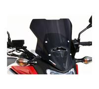 Ermax Parabrezza fumé, con ABE