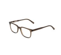 Ernest Hemingway H4854 Unisex Cateye Occhiali da Sole IN Verde Grigio Cristallo