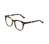 Ernest Hemingway H4900 Unisex Cateye Occhiali da Sole Marrone Ambra Tartaruga /