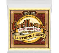 Ernie Ball 2010 Earthwood 12 Corde Chitarra Acustica