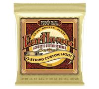 Ernie Ball 2013 Earthwood 12-String Custom Light 010/048