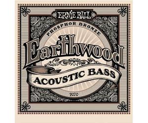 Ernie Ball 2070 Earthwood