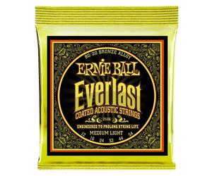 Ernie Ball 2556 12-54 Bronze EVERLAST