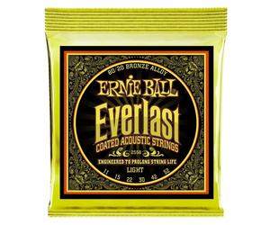 Ernie Ball 2558 11-52 Bronze EVERLAST